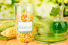 Warren biofuel availability